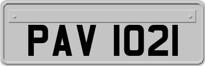 PAV1021