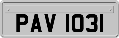 PAV1031