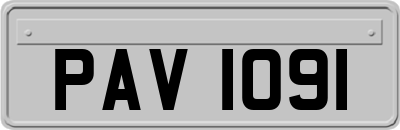 PAV1091