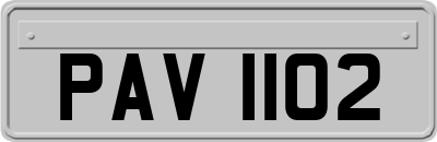 PAV1102