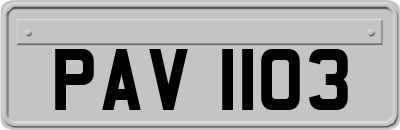 PAV1103
