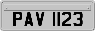 PAV1123