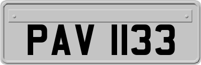 PAV1133