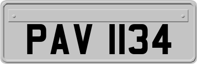 PAV1134