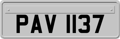 PAV1137