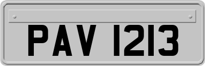 PAV1213