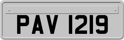 PAV1219