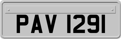 PAV1291