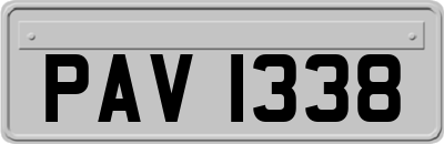 PAV1338