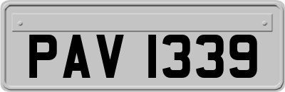 PAV1339