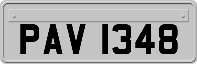 PAV1348