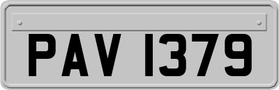 PAV1379
