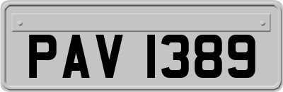 PAV1389