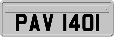 PAV1401