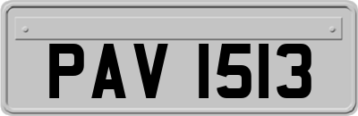PAV1513