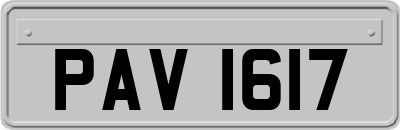 PAV1617