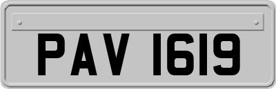 PAV1619