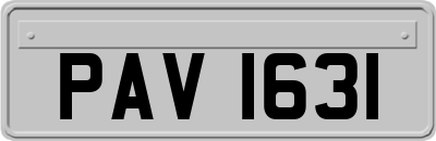 PAV1631