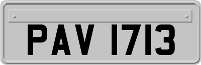 PAV1713