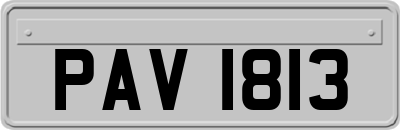 PAV1813