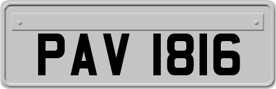 PAV1816
