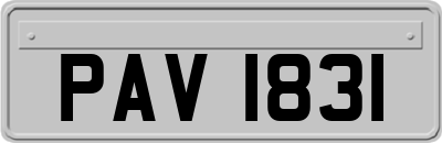 PAV1831