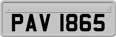 PAV1865