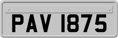 PAV1875