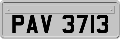 PAV3713