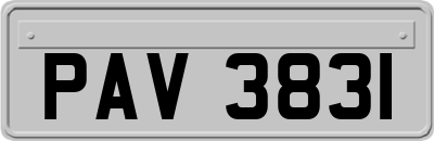 PAV3831