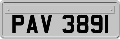 PAV3891