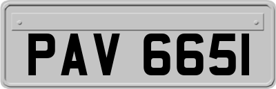 PAV6651