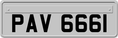 PAV6661