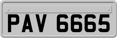 PAV6665