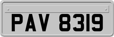 PAV8319