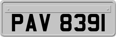 PAV8391