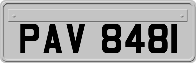 PAV8481