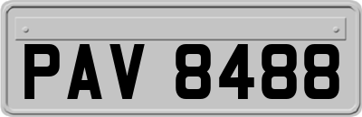 PAV8488