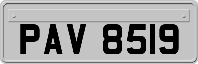 PAV8519