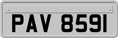 PAV8591