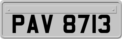 PAV8713