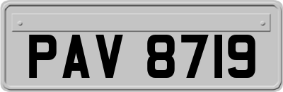 PAV8719