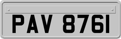 PAV8761