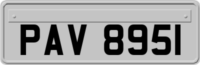 PAV8951