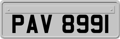 PAV8991