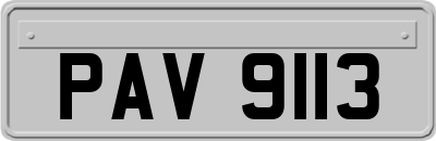PAV9113