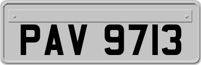 PAV9713