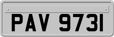 PAV9731