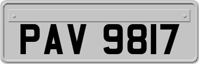 PAV9817