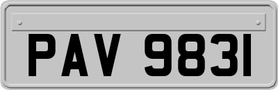 PAV9831
